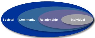 The Social-Ecological Model in Violence Prevention